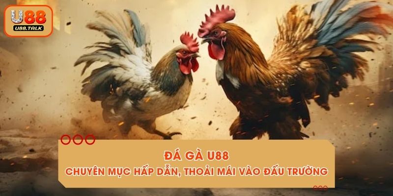 Đá Gà U88 - Chuyên Mục Hấp Dẫn, Thoải Mái Vào Đấu Trường