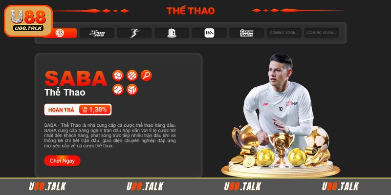 Những đơn vị uy tín hợp tác với sảnh thể thao tại U88